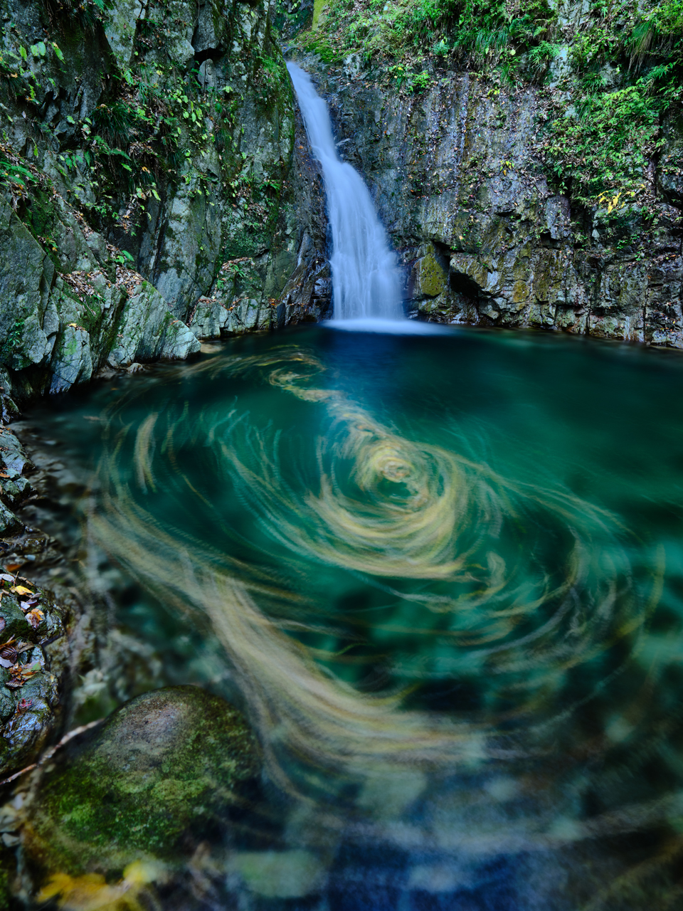 �X�X�L�ƍg�t